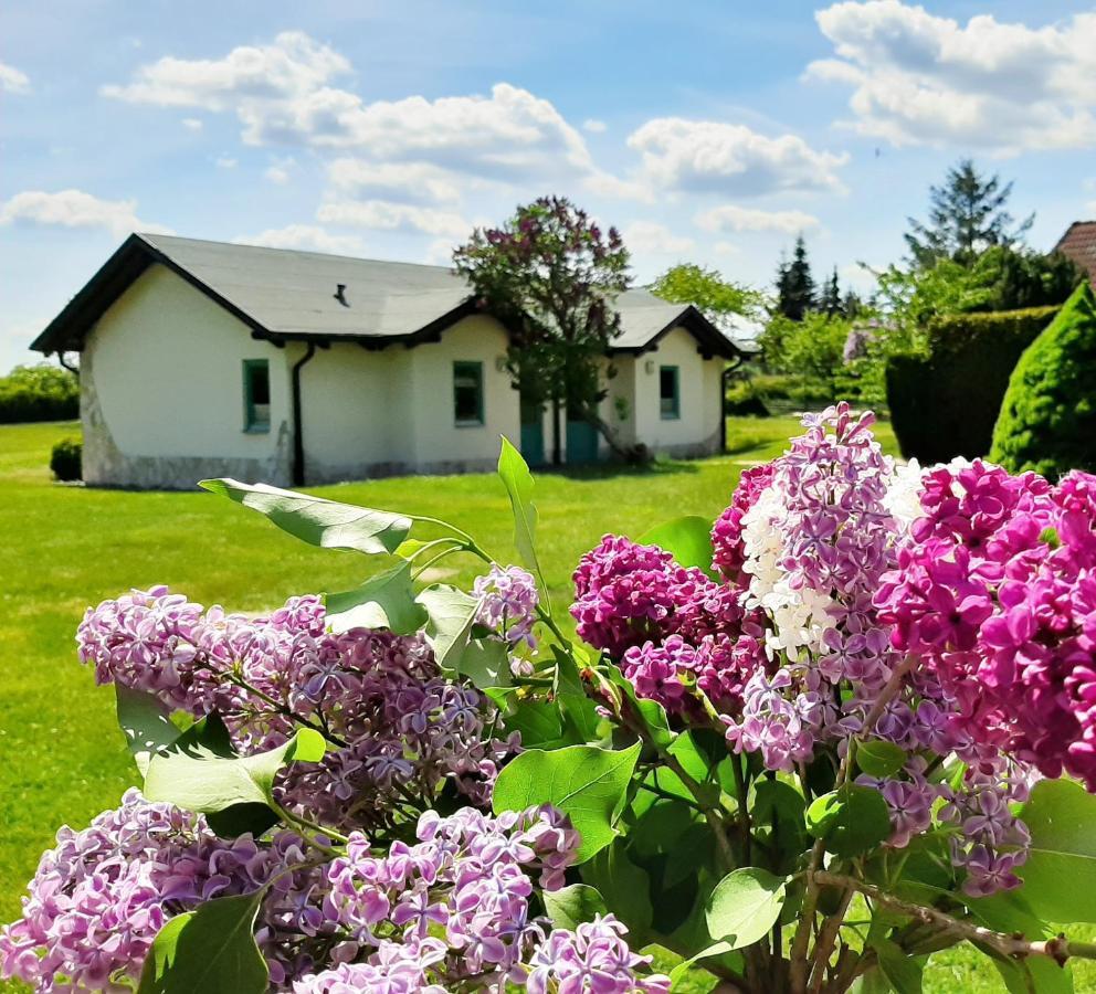 Pension Landhaus Teichgraf Вольґаст Екстер'єр фото